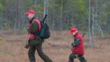Тетерев не ловится: финские охотники перестали ходить в лес — Luke