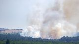 На украинском заповедном острове Хортица произошел пожар