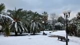 На побережье Сочи выпал первый снег