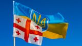 Тбилиси раскритиковал недружелюбный Киев
