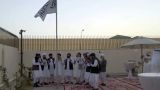 Переговоры США с талибами: пропаганда, надежды и реалии
