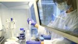 На Украине прекращена разработка вакцины от коронавируса