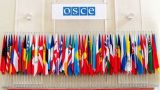 В Минске заявили о необходимости реформирования ОБСЕ