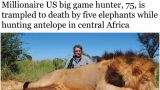 Миллионера из США затоптали слоны на сафари