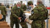 Русские солдаты армии Эстонии показывают гораздо меньше служебного рвения