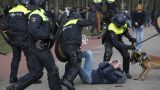 В Нидерландах более 100 человек задержаны за блокаду аэропорта