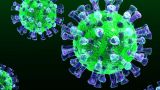 Китай передал США образец коронавируса