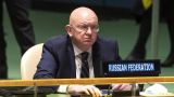 Россия призывает ООН осудить убийство Киевом Дарьи Дугиной — Небензя