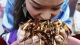 «Заморить червячка саранчой»: население Запада приучают к рагу из муравьев и моли