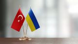 Эрдоган проведет официальную встречу с Зеленским