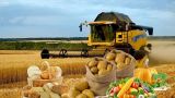 Казахстан планирует увеличить экспорт сельхозпродукции в 2,5 раза