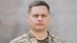 Зеленский назначил нового командующего сухопутными войсками ВСУ