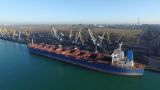 ООН: В портах Украины без движения остаются 4,5 млн тонн зерна