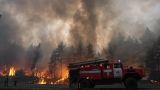 Площадь лесного пожара в Марий Эл увеличилась до 500 гектаров