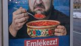 Зеленского призвали помнить: «Борщ — венгерское блюдо, а Ужгород — венгерский город»