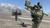 Американских экспертов по вооружению озадачили «Ивы» из России