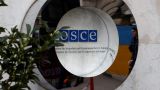 «Вовсе деградировала ОБСЕ»: европейцы имеют «аргументы», но не имеют ресурса
