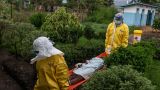 Число погибших от лихорадки Эбола в Африке превысило 180 человек