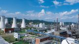 Один из крупнейших химических заводов Румынии временно закрылся