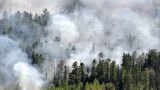 Из-за смога от лесных пожаров в Сибири около 30 авиарейсов задержаны в Красноярске
