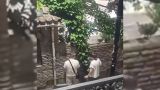 Не русские: на стену храма в Тбилиси помочились туристы из Эстонии и Украины