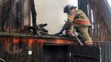 Страшные цифры: с начала года (за 31 день) в России на пожарах погибло 46 детей
