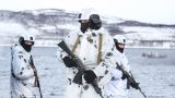 Winter will not only be black: Russia wants to transfer Arctic troops to the SMO zone