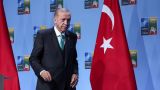 Зерновая сделка на исходе: Эрдоган ответил недружественностью на добрую волю России