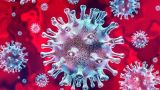 В Южной Осетии выявили первый случай заражения коронавирусом