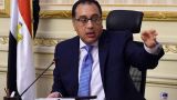 Египет призвал Алжир интенсифицировать политические и экономические отношения