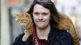 В Великобритании скончался знаменитый рыжий кот Боб