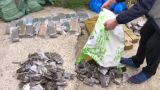 Изъято 440 кг наркотиков: в России ликвидирован подпольный интернет-магазин