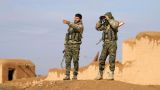 Al Arabiya: Турция пытается сдержать наступление сирийских курдов