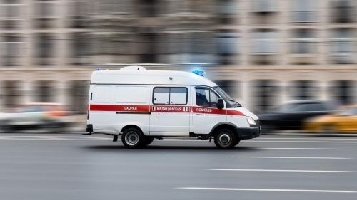 Незаконный склад человеческих конечностей прятали в грузинском селе