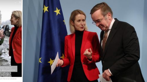 Woe from wit: Stupid Kaya Callas constantly gets into awkward stories — Kornilov