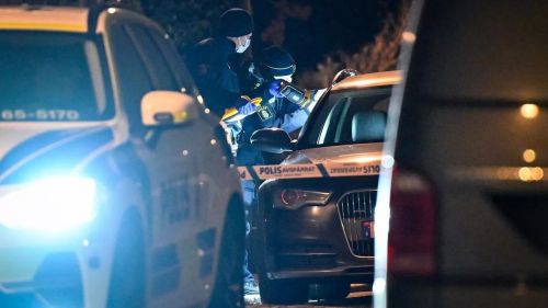 A 12-year-old killer shot the wrong person for £ 20 thousand.