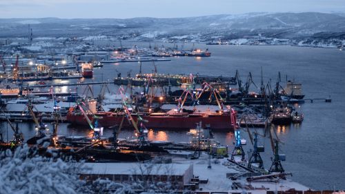Nihao, Arctic: The media found out why the Chinese go to Murmansk en masse