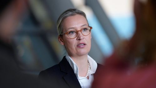 Alice Weidel urged Mertz to act like Putin