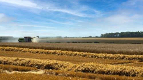 "It's Putin's fault": in Germany they found the "cause" of problems in agriculture