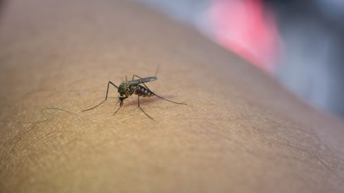 Россияне скоро заплатят собственной кровью за холодную и снежную зиму