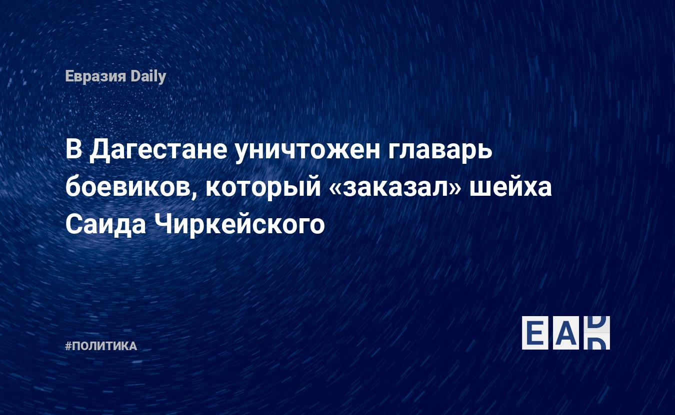 В Дагестане уничтожен главарь боевиков, который «заказал» шейха Саида  Чиркейского — EADaily, 11 августа 2015 — Новости политики, Новости России