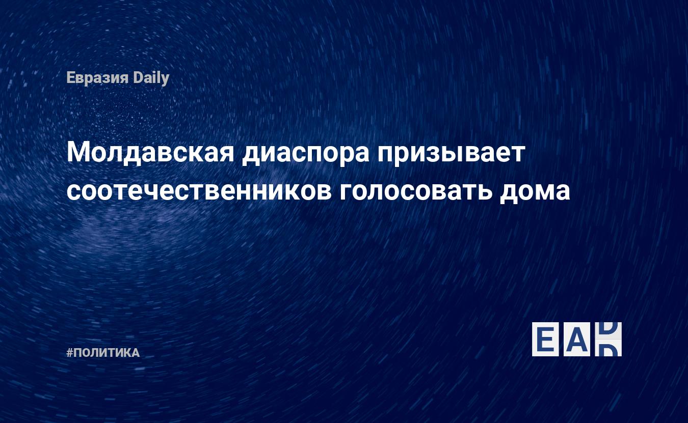 Молдавская диаспора призывает соотечественников голосовать дома — EADaily,  18 января 2019 — Новости политики, Новости Европы