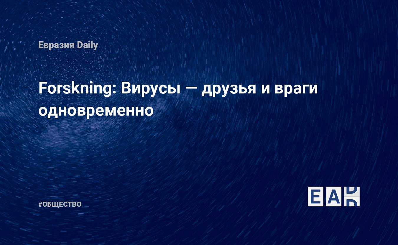 Forskning: Вирусы — друзья и враги одновременно — EADaily, 29 марта 2020 —  Общество. Новости, Новости Европы