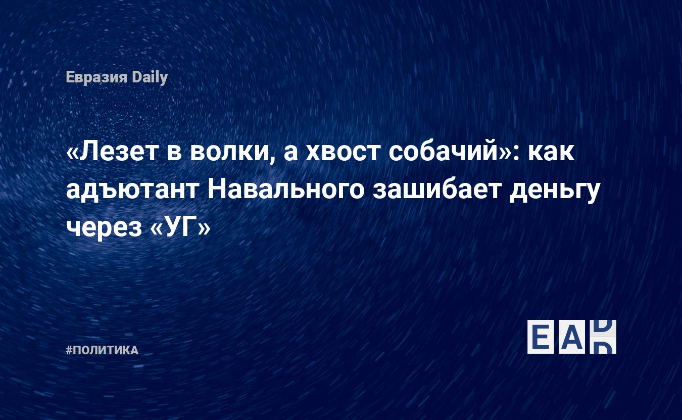 Лезет в волки, а хвост собачий»: как адъютант Навального зашибает деньгу  через «УГ» — EADaily — Навальный. Алексей Навальный. Навальный новости.  Леонид Волков. Где сейчас Леонид Волков. Алексей Навальный последние  новости.